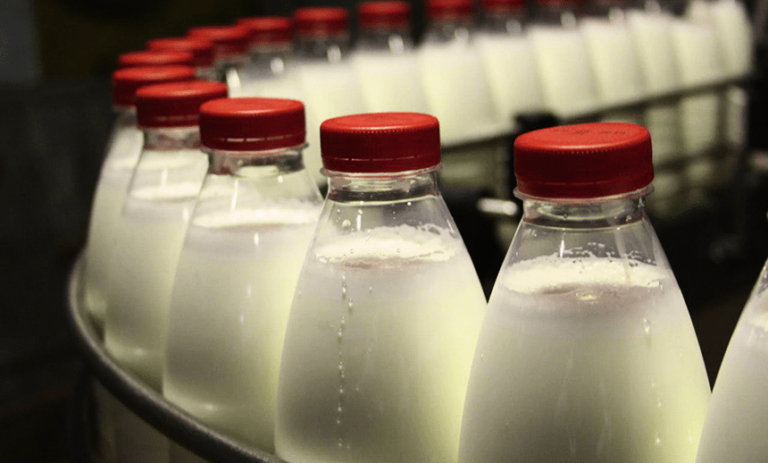 Обсяг продажів свіжої молочної продукції зростає