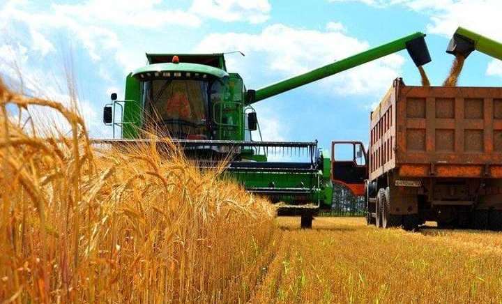 В Україні намолочено понад 2 млн. тонн зерна нового врожаю | ПроАгро